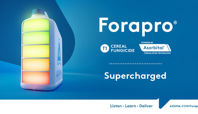Forapro